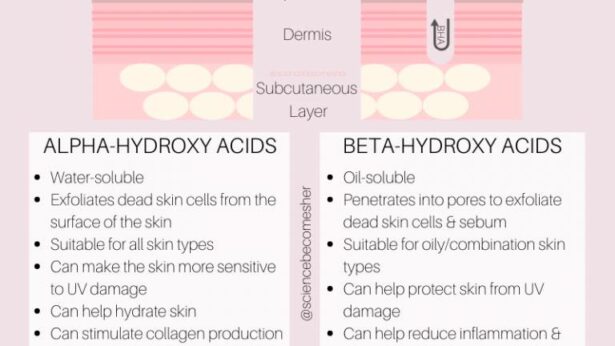 Renee Lapino skincare blog - What is the difference between the exfoliants AHAs and BHAs explained